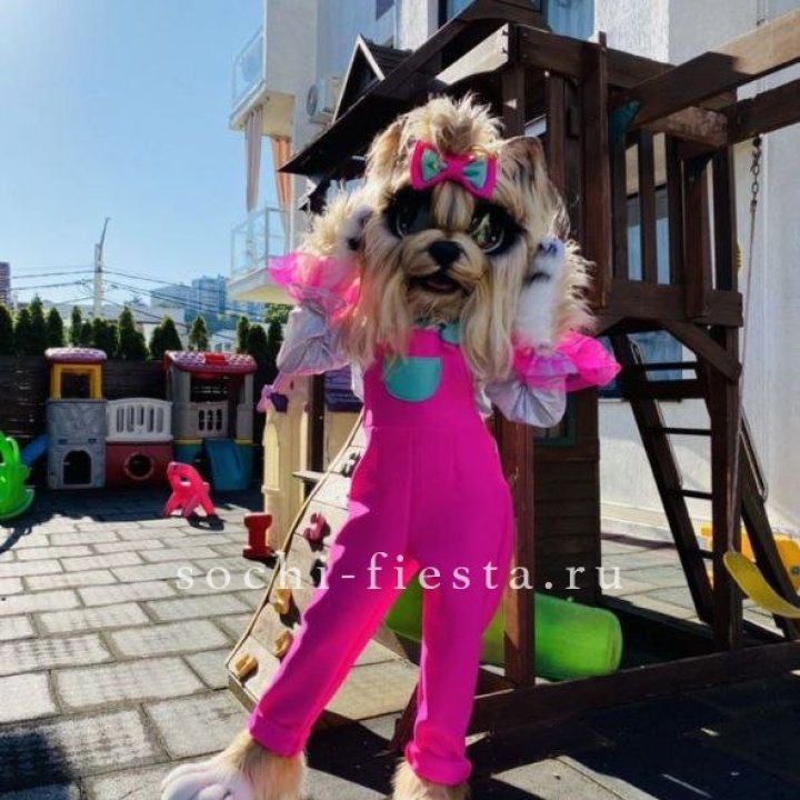 Аниматор Гламурная Собака в Новосибирске