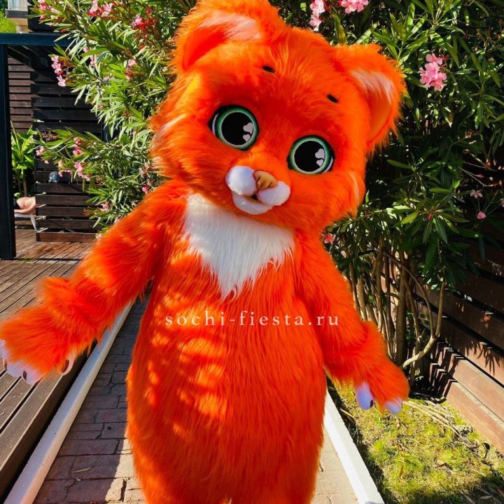 Аниматор Котик в Новосибирске