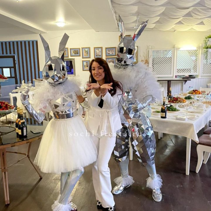Аниматор Зеркальный заяц в Новосибирске