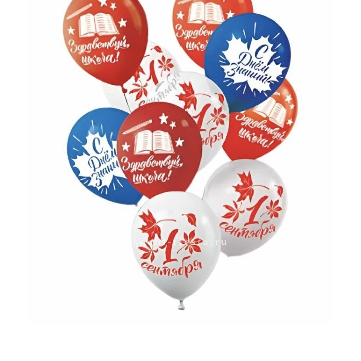 Воздушный шар на день знаний в Новосибирске