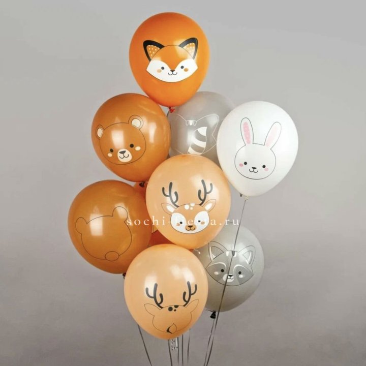 Воздушный шар "Животные" в Новосибирске