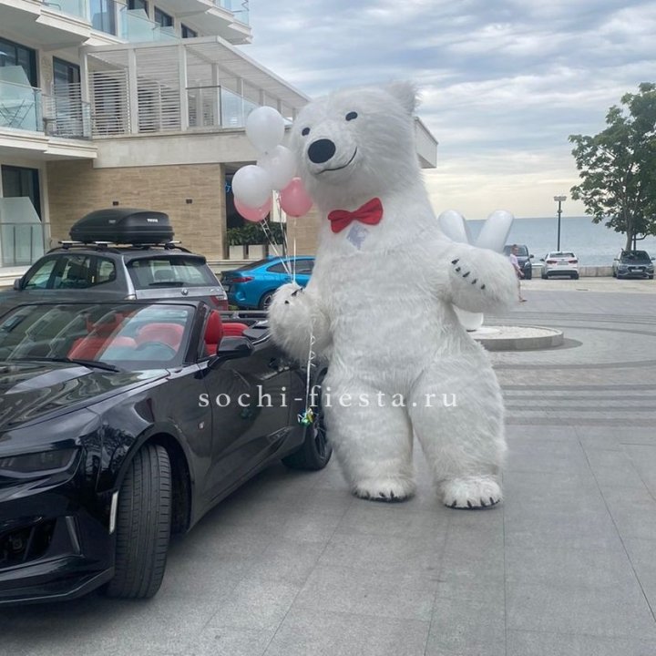 Аниматор Белый Медведь в Новосибирске