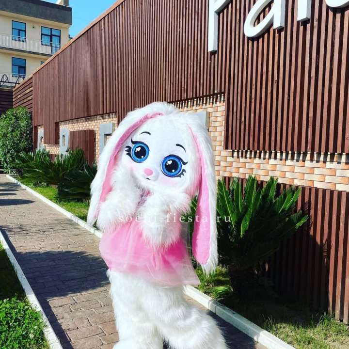 Аниматор Зайка в Новосибирске