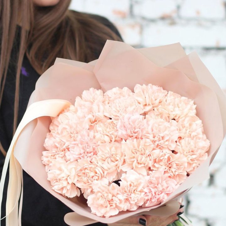 Диантусы №2 в Новосибирске