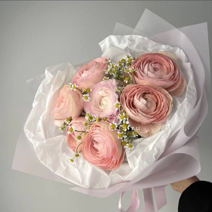 Ранункулюсы с ромашками в Новосибирске