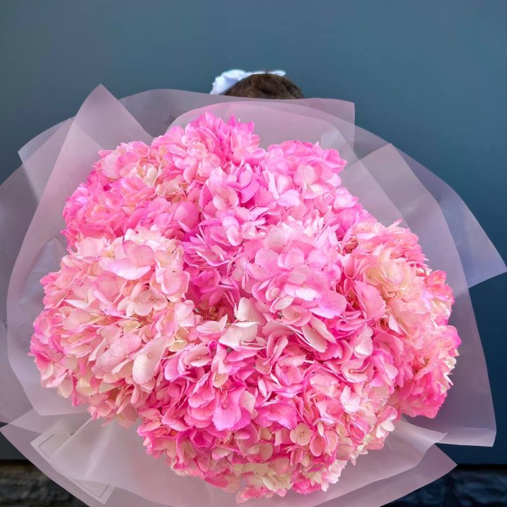 9 ярко розовых гортензий в Новосибирске