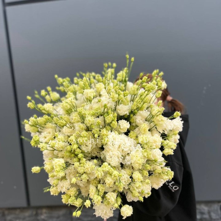 51 белая эустома в Новосибирске