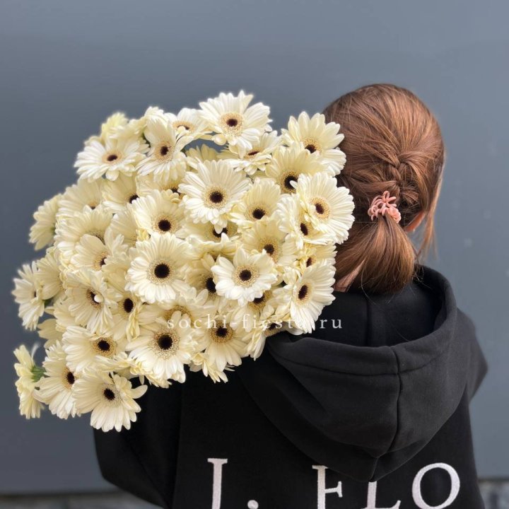 51 гербера в Новосибирске