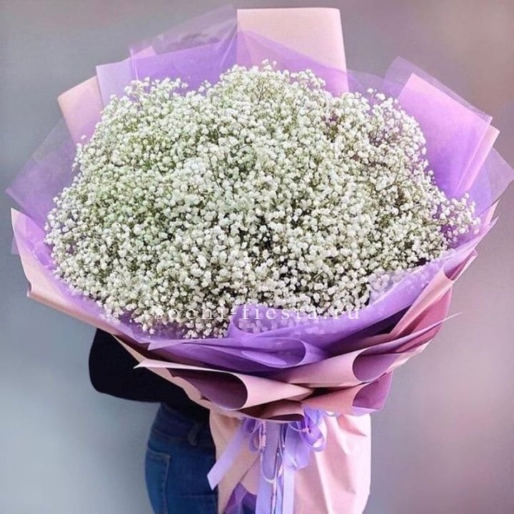 Облако белых гипсофил в Новосибирске