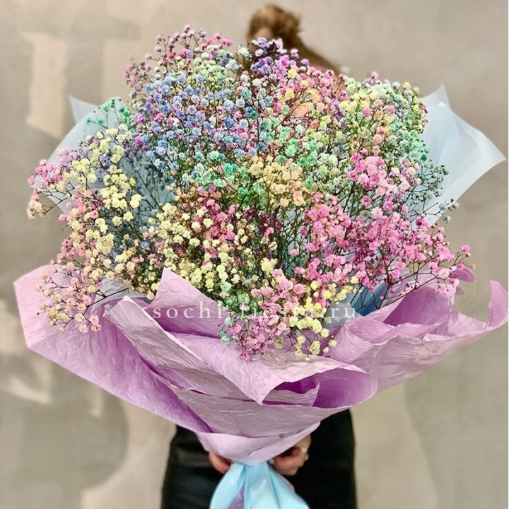 Радужные гипсофилы №2 в Новосибирске