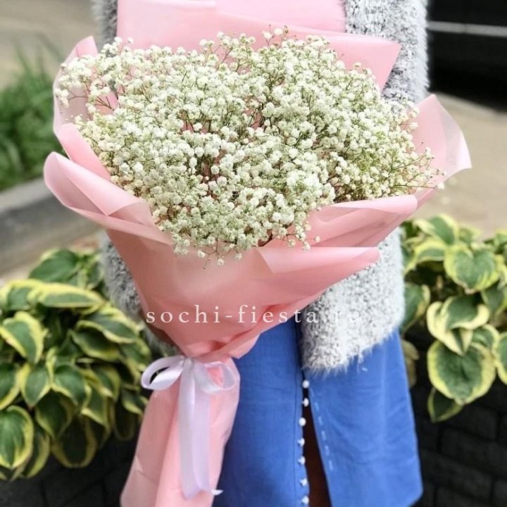 Белоснежные гипсофилы в Новосибирске