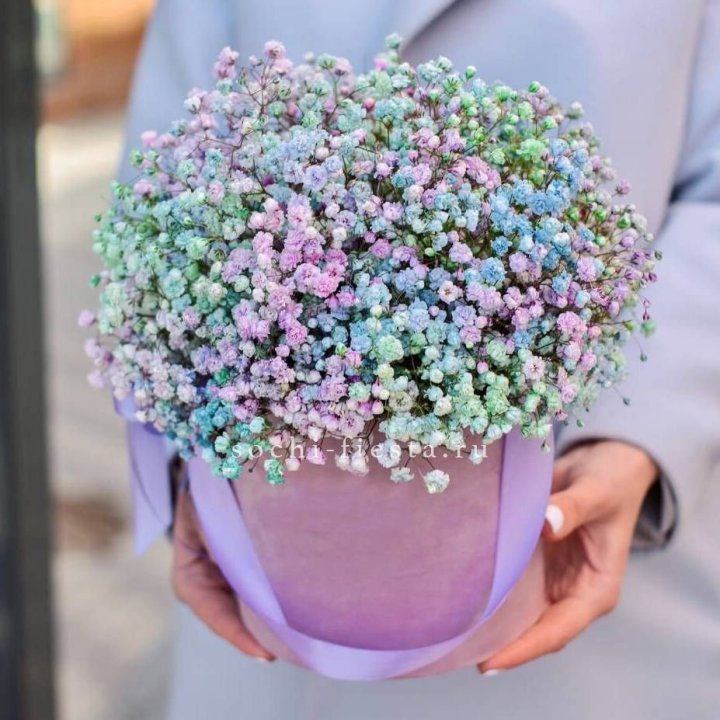 Гипсофилы в шляпной коробке "Кандилайт" в Новосибирске