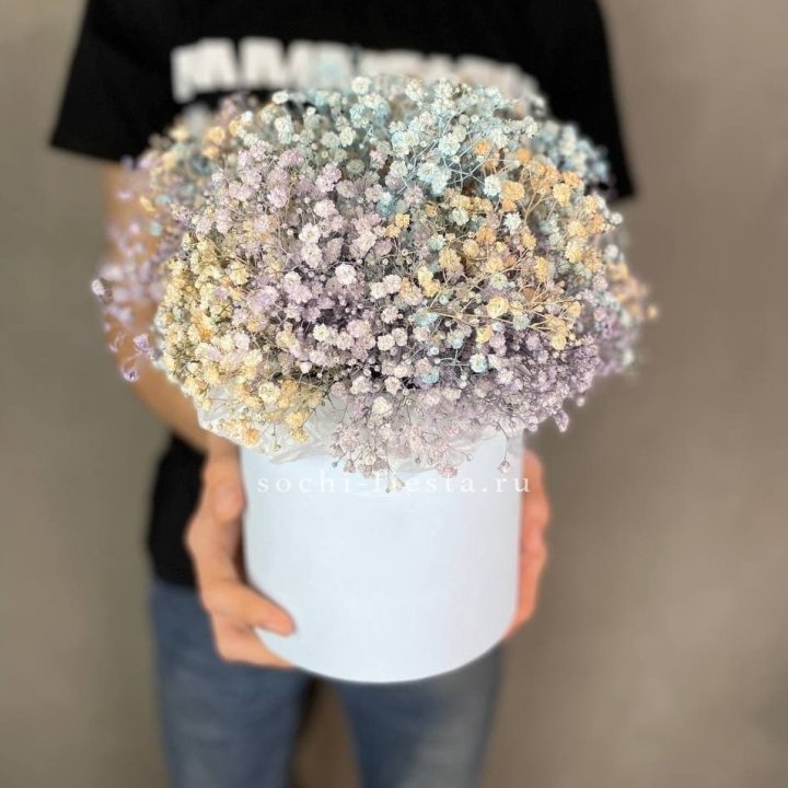 9 Радужных гипсофил в шляпной коробке в Новосибирске