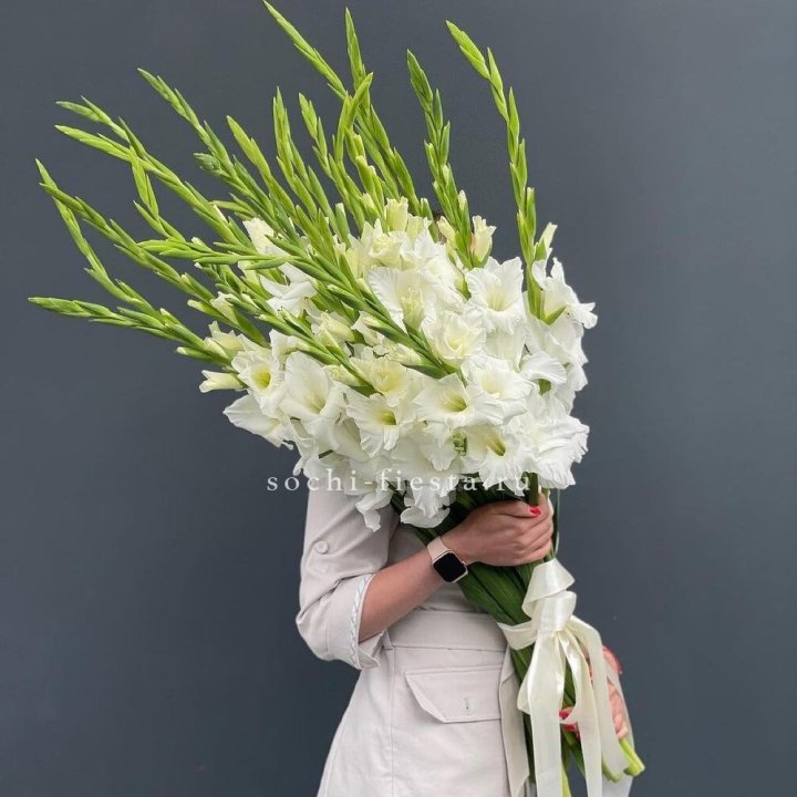 19 белых гладиолусов под ленту в Новосибирске