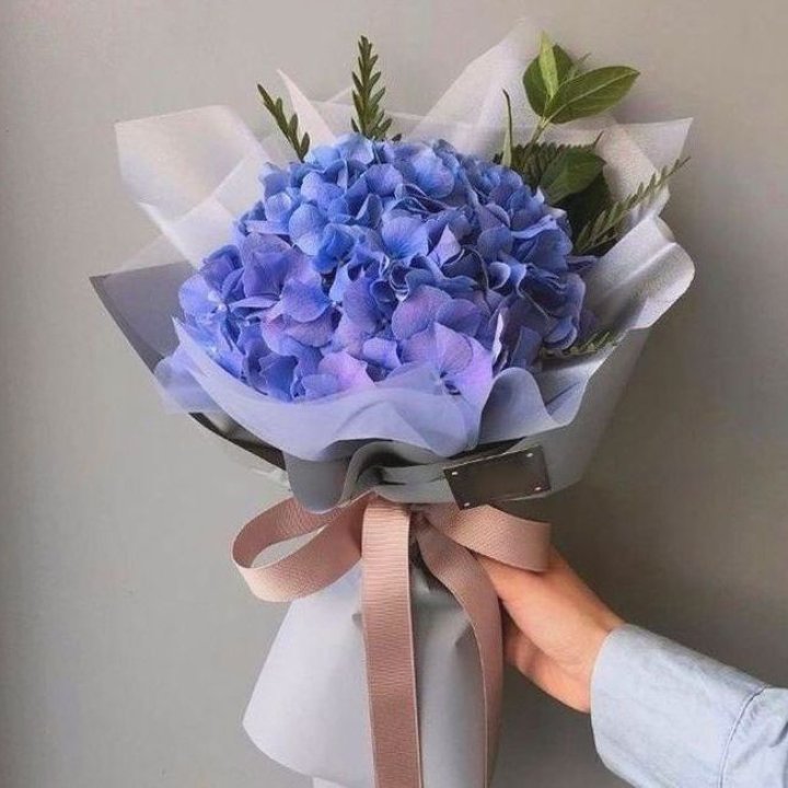 Гортензия голубая в Новосибирске