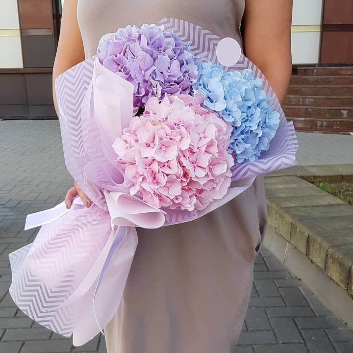 Букет гортензий "Пуф" в Новосибирске