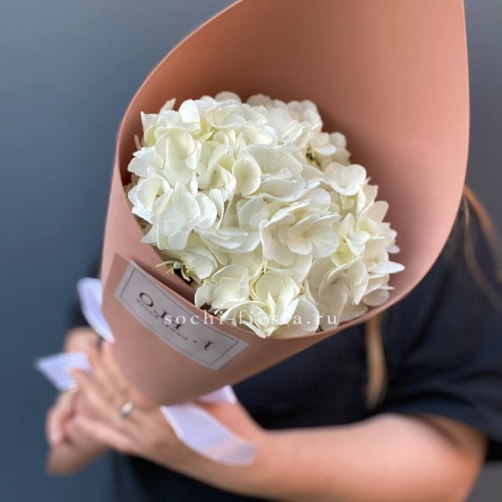 Гортензия в конверте в Новосибирске