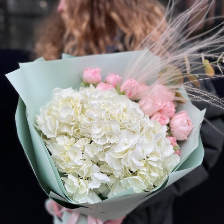Гортензия "Жасмин" в Новосибирске