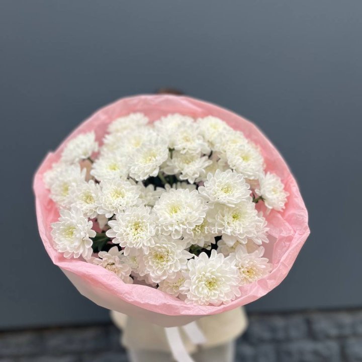  5 хризантем  с доставкой в Новосибирске