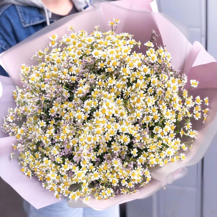 Букет ромашек №1 в Новосибирске