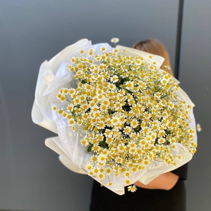 Букет ромашек "Фемели" в Новосибирске