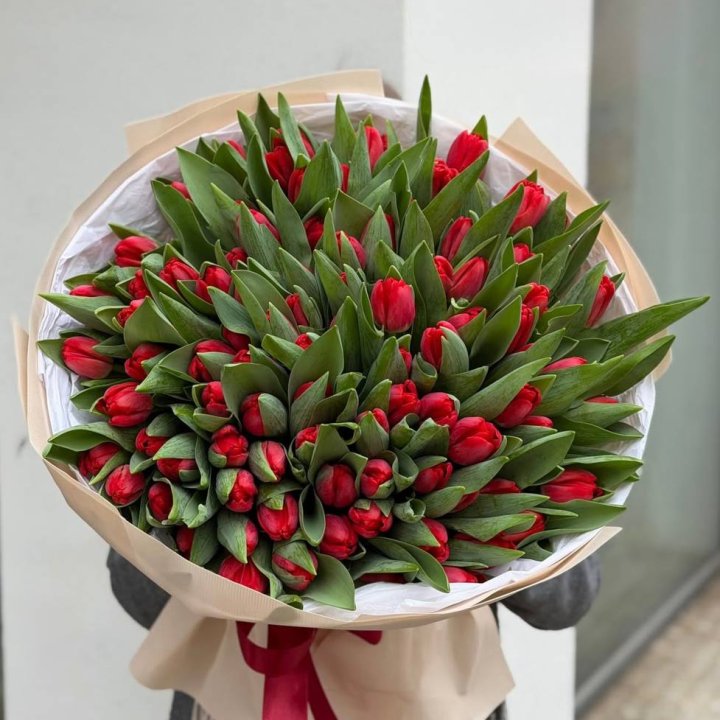 101 красный тюльпан в Новосибирске