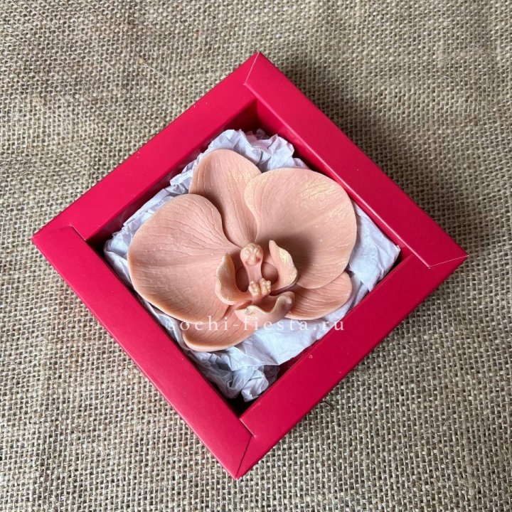 Бельгийский шоколад Орхидея в Новосибирске