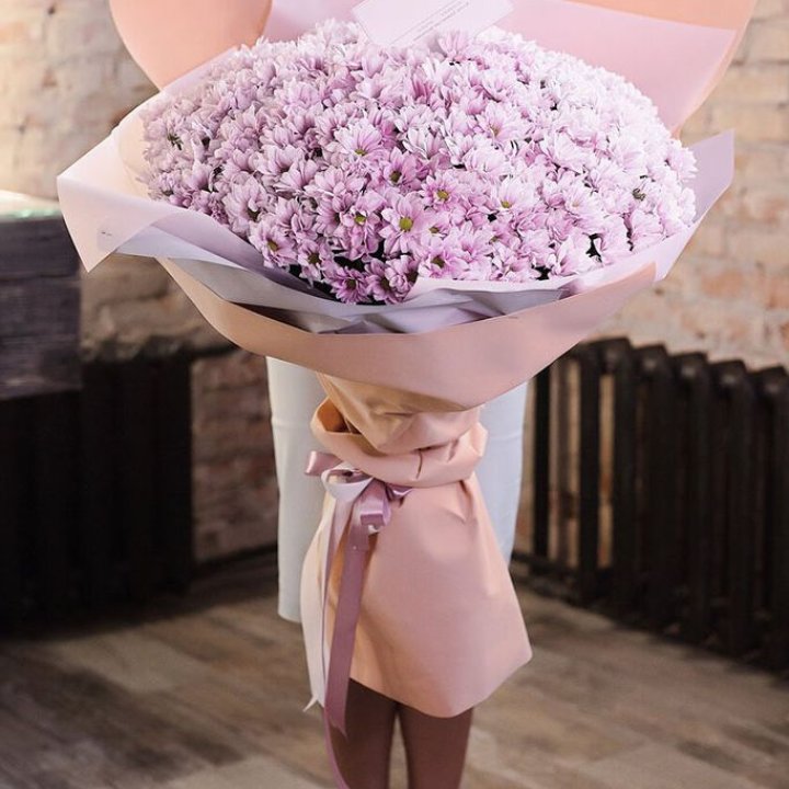 Облако хризантем №1 в Новосибирске