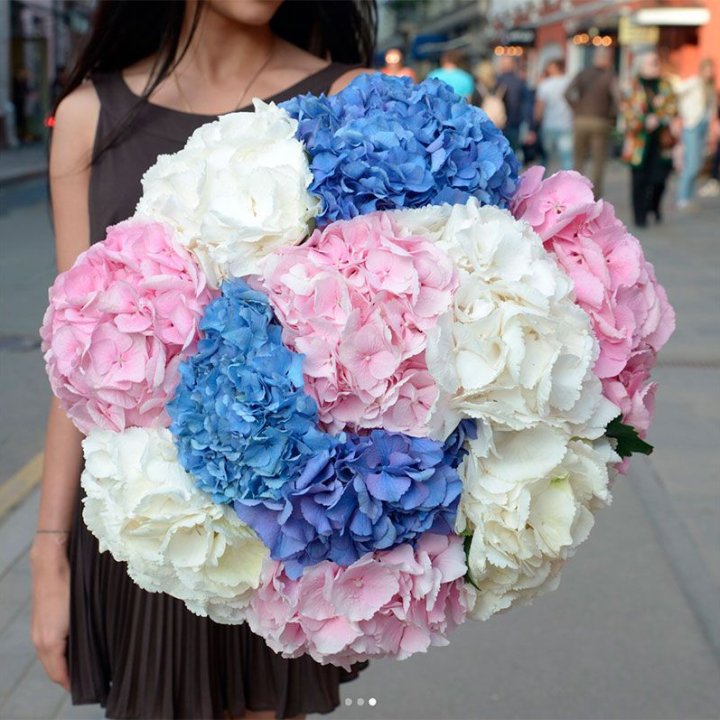 Букет гортензий "Инь-Янь" в Новосибирске