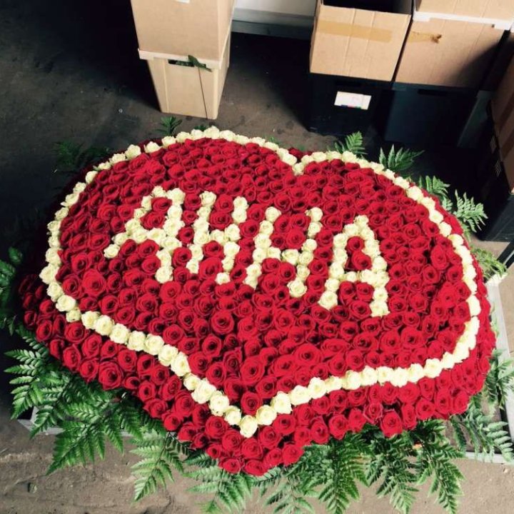 555 роз с именем в Новосибирске