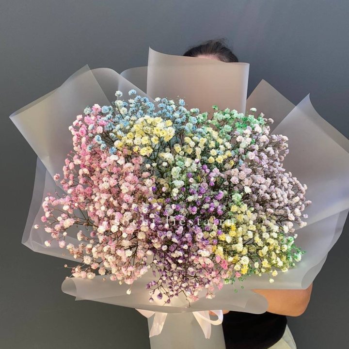 Радужные гипсофилы  в Новосибирске