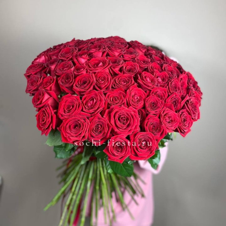 101  голландская роза  в Новосибирске