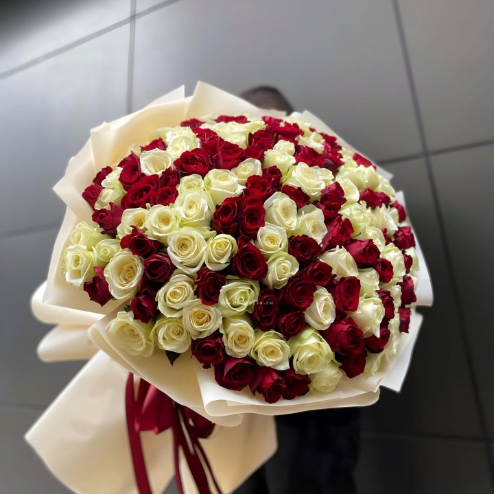 101 высокая импортная роза  в Новосибирске