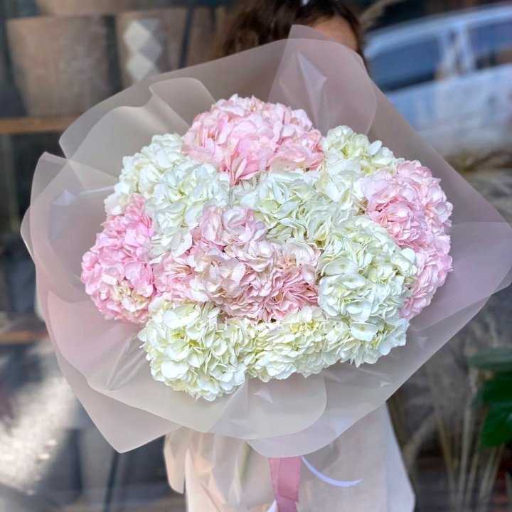 Букет гортензий № 3 с доставкой в Новосибирске