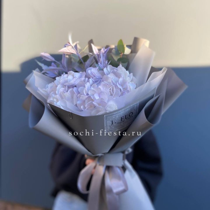 Гортензия "Виолета" в Новосибирске