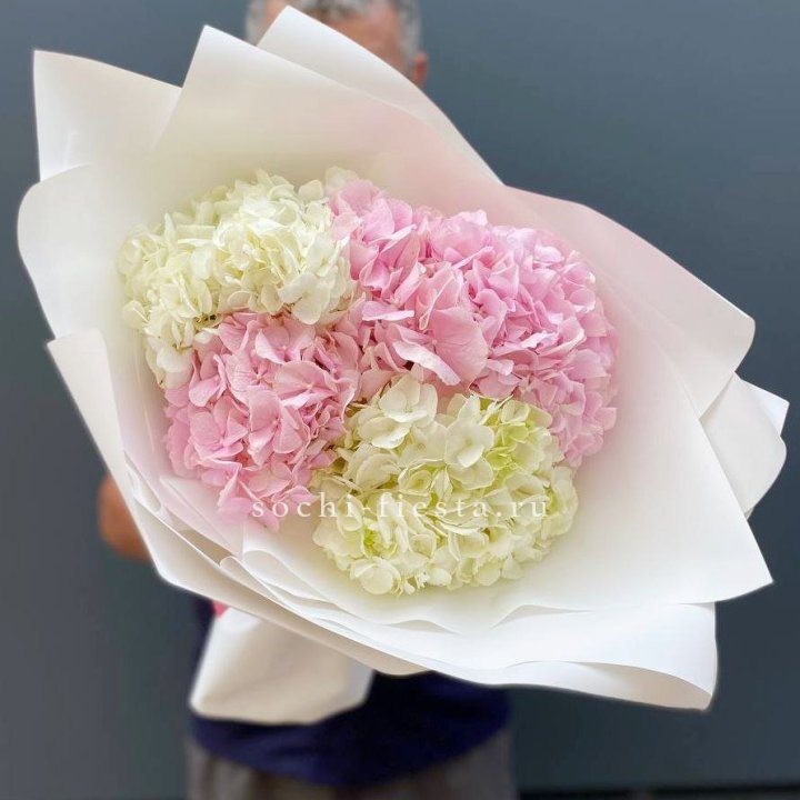 Букет гортензий №5 в Новосибирске