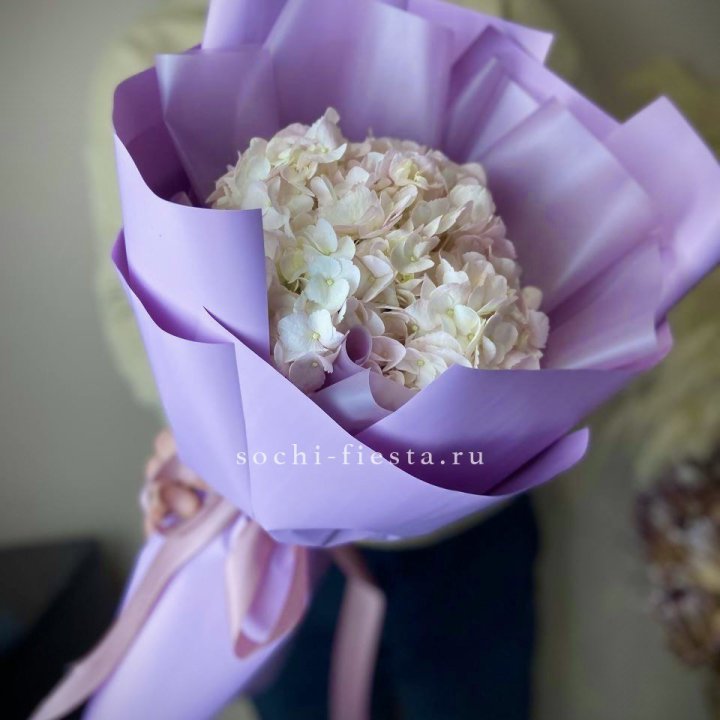 Гортензия розовая в Новосибирске