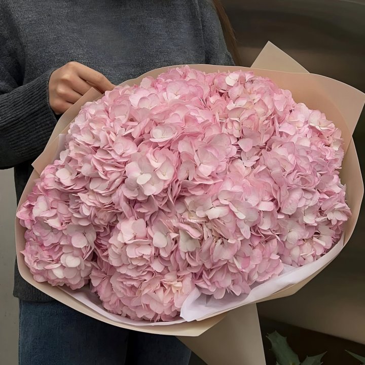 Гортензия  "РОЗЕ" в Новосибирске