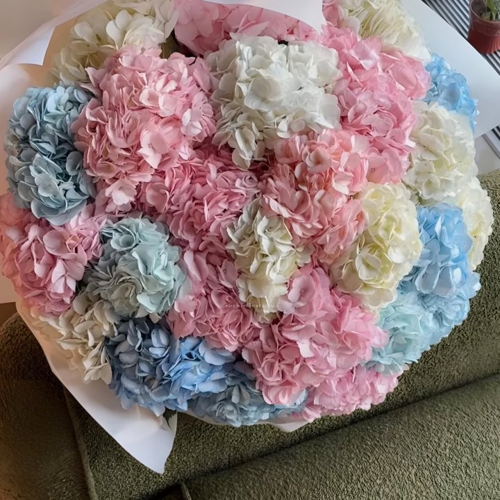 Букет гортензий микс в Новосибирске