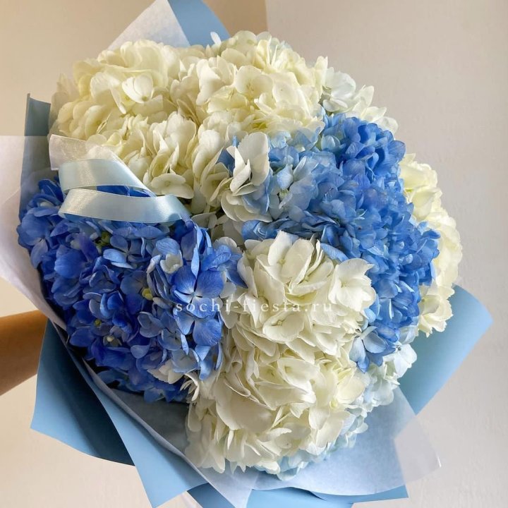 Букет гортензий "Голубая лаза" в Новосибирске