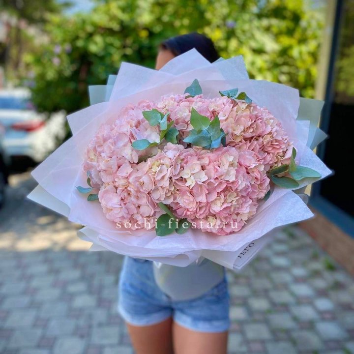 5 розовых гортензий  в Новосибирске