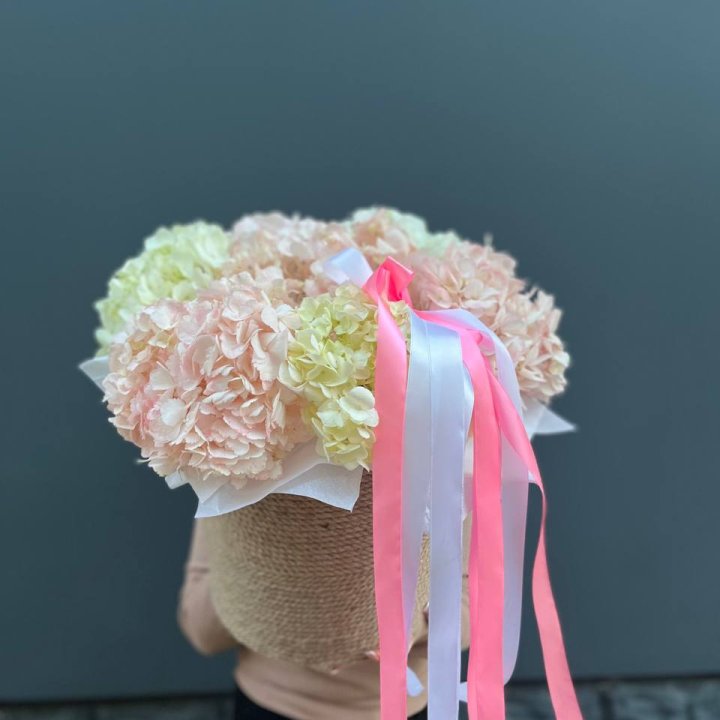 7 гортензий в кашпо в Новосибирске