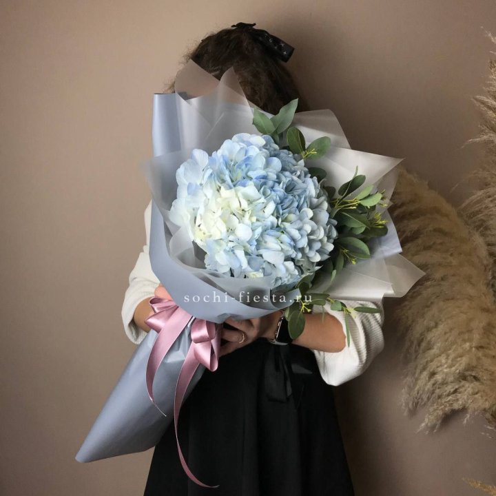 Гортензия Уно в Новосибирске