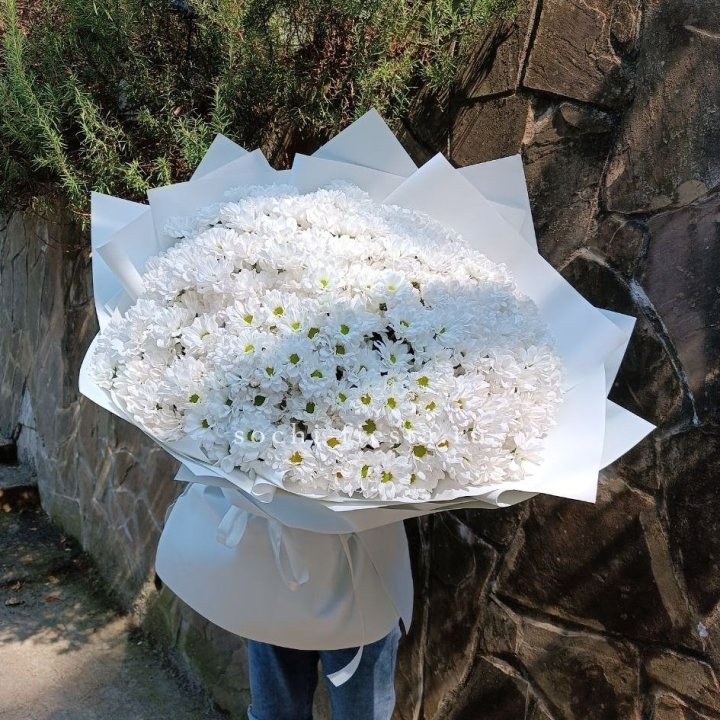 Облако хризантем №2 в Новосибирске