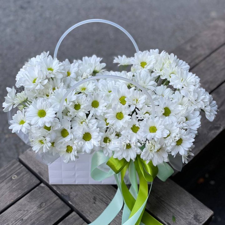 Сумка с хризантемами ромашками в Новосибирске