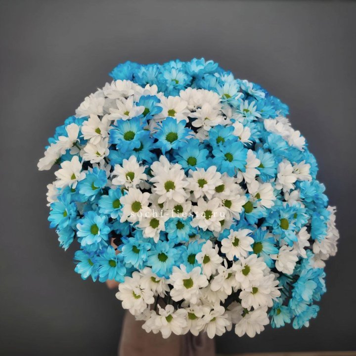  Букет хризантем микс в Новосибирске