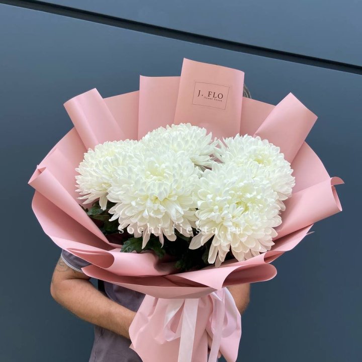 Профитроли №2 в Новосибирске