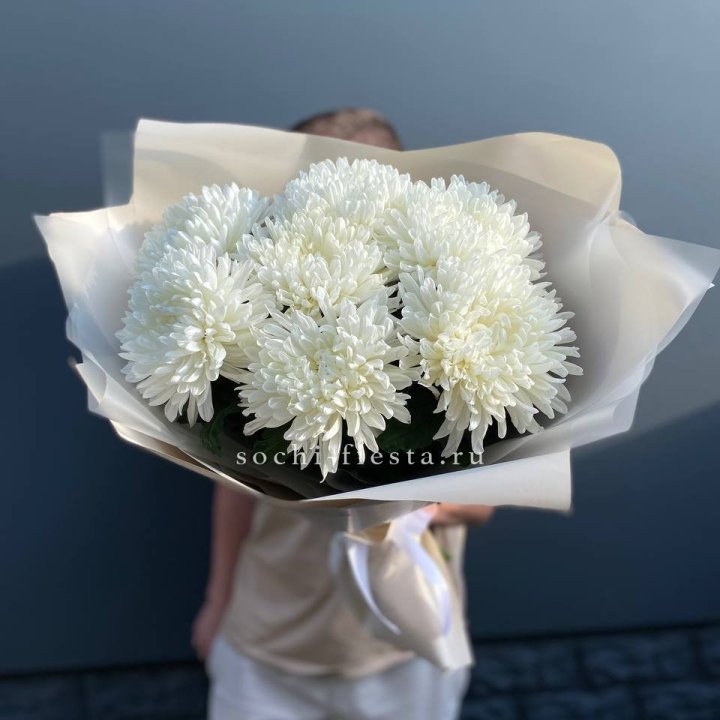 Профитроли в Новосибирске