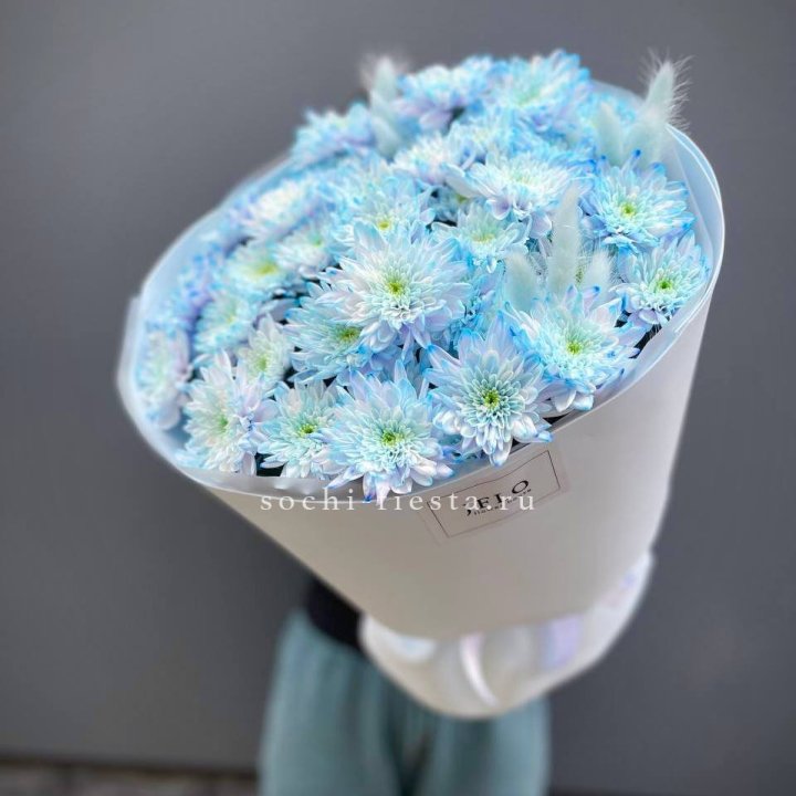  Букет нежно-голубых хризантем  в Новосибирске