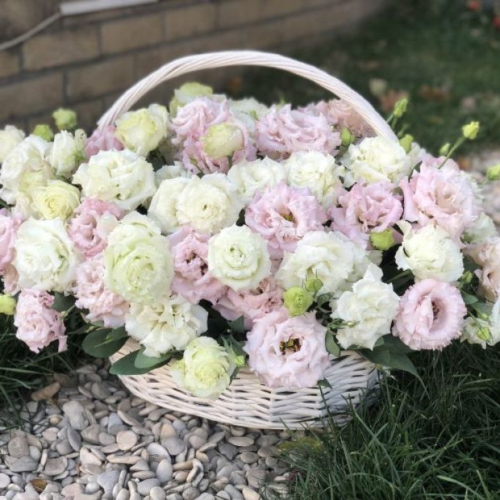 Корзина с эустомой в Новосибирске